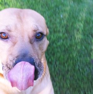 Meet your Posher, Kalycia